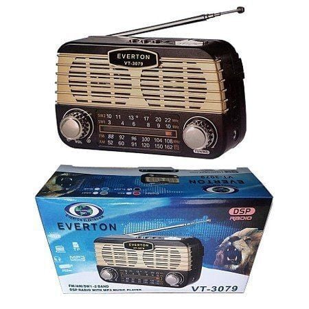 EVERTON RT310-RT311 Analog Nostalji Radyo